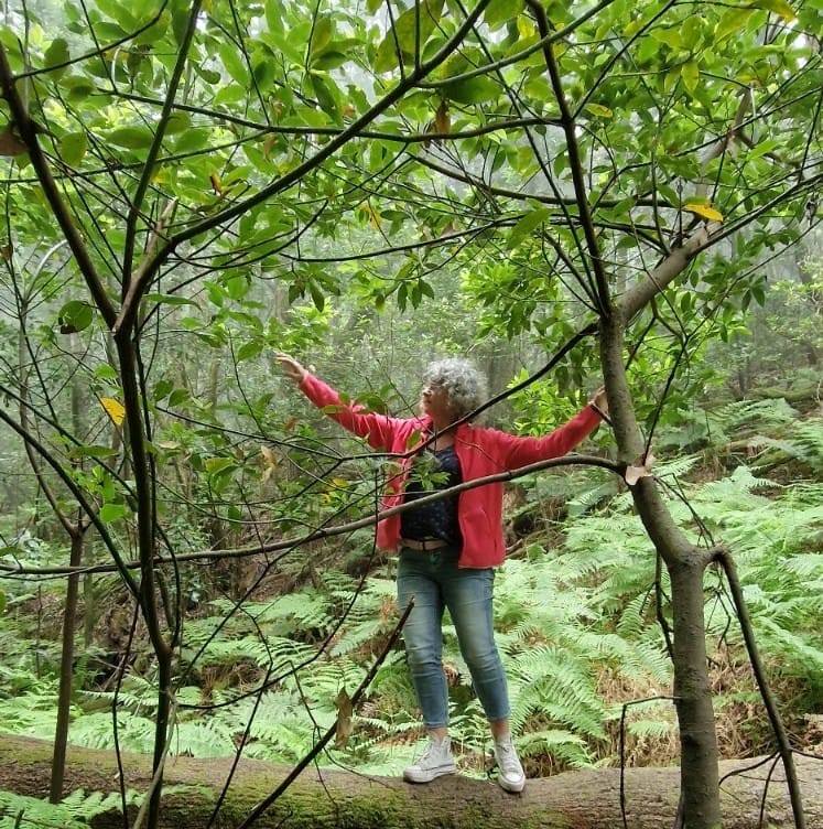 la-gomera-nature-box